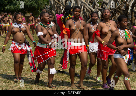 Zulu maidens, Zulu Reed Dance at eNyokeni Palace, Nongoma, South Africa Stock Photo