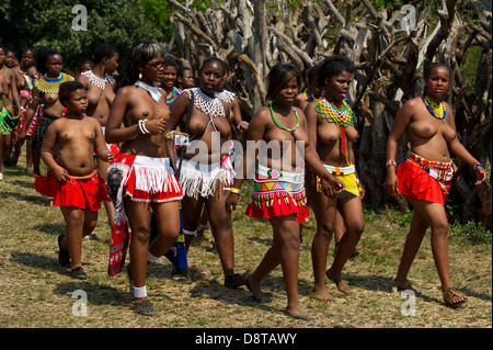 Zulu maidens, Zulu Reed Dance at eNyokeni Palace, Nongoma, South Africa Stock Photo