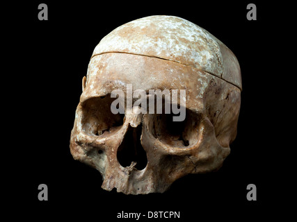 human skull isolated on black background Stock Photo