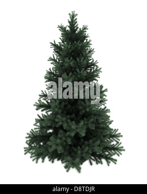 Alpine fir tree isolated on white background Stock Photo