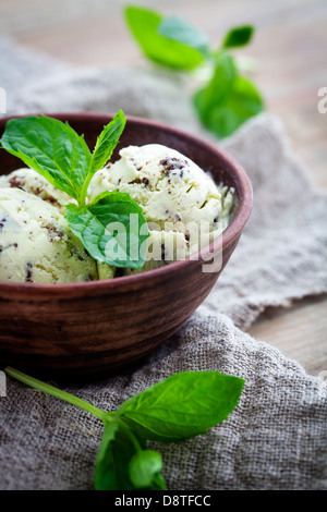 Homemade ice cream with mint and chocolate chips Stock Photo