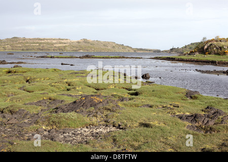 Dervaig, Isle of Mull, Scotland, May 2013 Stock Photo