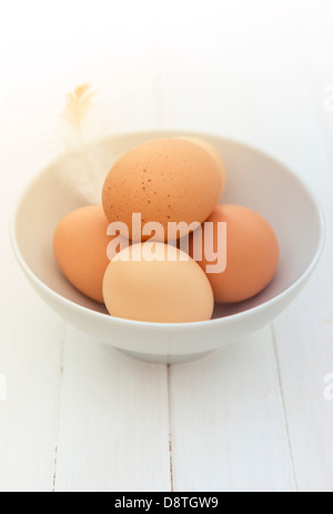 Freshly laid organic free range eggs in a bowl. Stock Photo