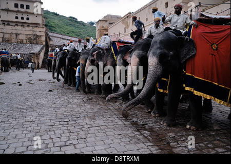 Elephants in the Amber Fort. Jaipur, Rajasthan, India Stock Photo