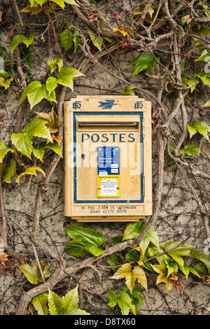 French post box on an ivy covered wall Stock Photo