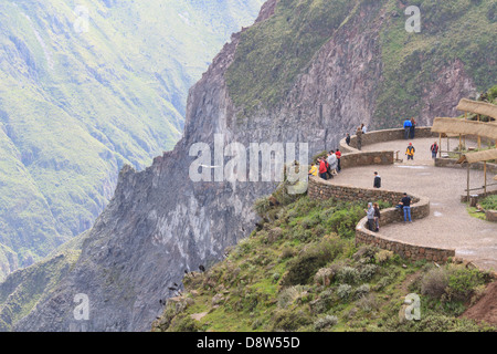 An Andean Condor soars over southern Peru's Colca Canyon, passing the visitors platform, Peru Stock Photo