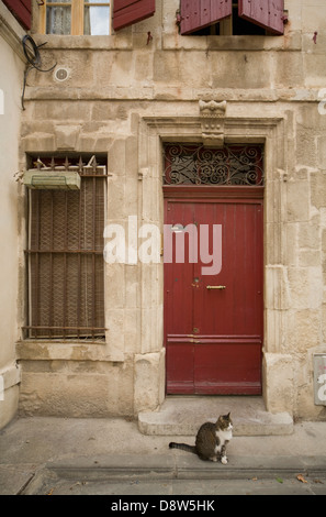 A door and window of an old house, with a tabby cat sitting on the pavement outside, Arles, France Stock Photo