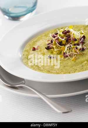 Cream of zucchini soup with cheese and radish sprouts Stock Photo