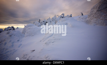 Snow covered trees atop Mount Zao at the Zao Ski Resort. Every winter the place will be packed with skiers and visitors. Stock Photo