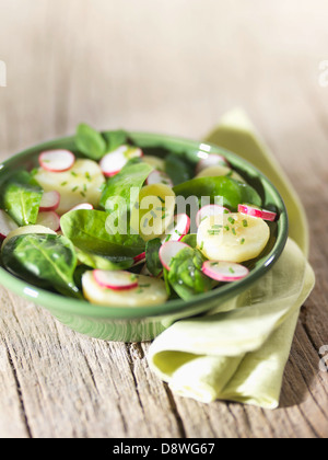 Potato spinach and radish salad Stock Photo