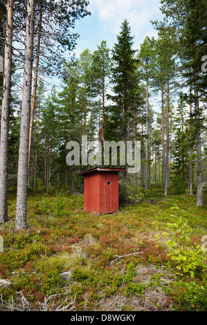 Outhouse in forest Stock Photo