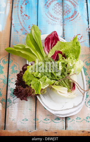 Assorted lettuce leaves Stock Photo