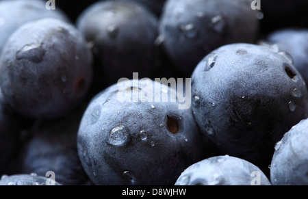 Blueberries closeup. Stock Photo