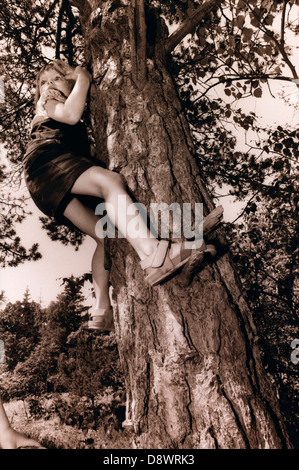A girl climbing a tree Sweden Stock Photo - Alamy