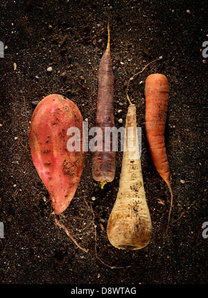 Old-fashioned vegetables Stock Photo