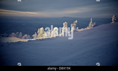 Snow covered trees atop Mount Zao at the Zao Ski Resort. Every winter the place will be packed with skiers and visitors. Stock Photo