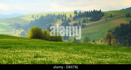Spring early morning landscape with Multicolored diagonal in the Carpathian mountains Stock Photo