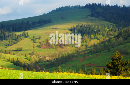 Early in the morning on the multi-colored diagonal Carpathian Mountains Stock Photo