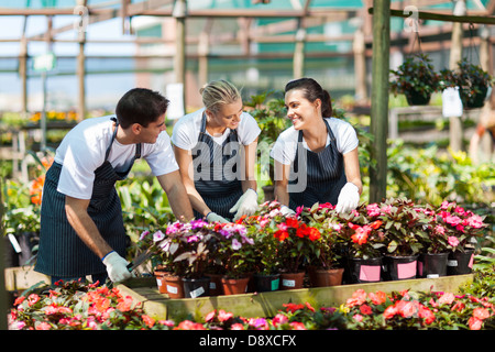 group of garden workers working in nursery Stock Photo