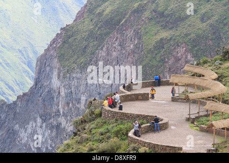 An Andean Condor soars over southern Peru's Colca Canyon, passing the visitors platform, Peru Stock Photo