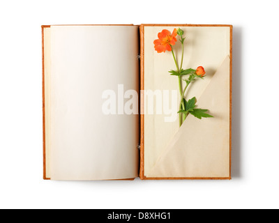 Old notebook open isolated on white background with summer flowers Stock Photo