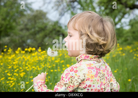 Three year-old girl with a dandelion in his hand Stock Photo