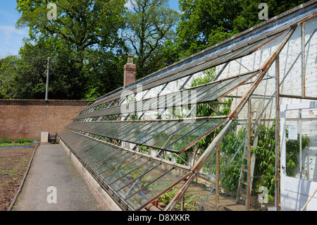 A walled garden, Tyntesfield, Wraxall, North Somerset, England Stock Photo