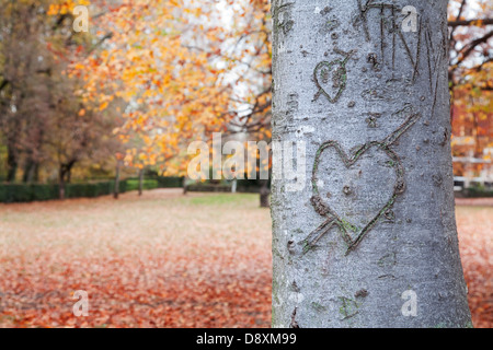 Heart-shape on trunk bark with an autumnal background Stock Photo
