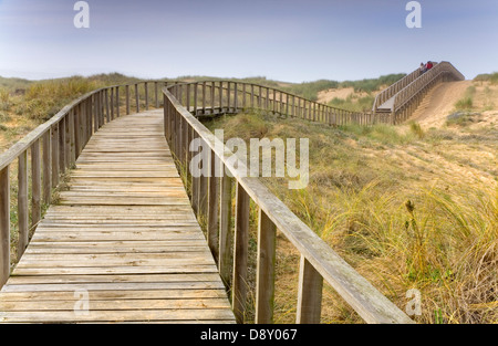 wooden footbridge in sand dunes. Dunas de Liencres Natural Park. Cantabria. Spain. Europe Stock Photo