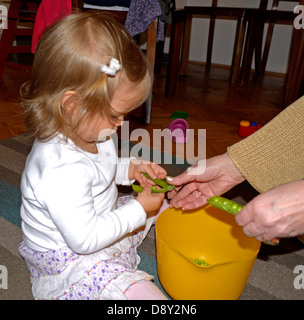 2 year old little girl shelling peas at home Stock Photo