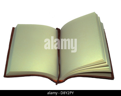 Leather-bound journal open to a blank page Stock Photo