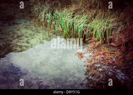 Lago di Dobiacco, Toblacher See inDolomite Alps, Italy, Europe Stock Photo