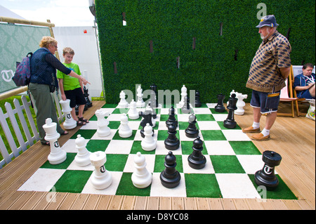 HAY PLAY Chess