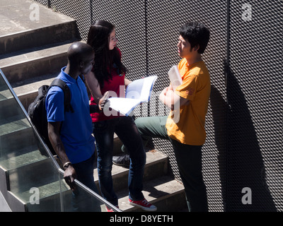 Group of multi ethnic students Stock Photo