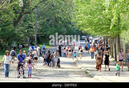 People at the park Stock Photo