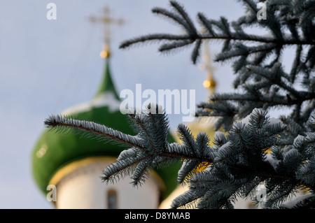 Monastery of Saint Euthymius which was founded in the 14th century. Located along the Golden RIng Route outside Moscow. Stock Photo