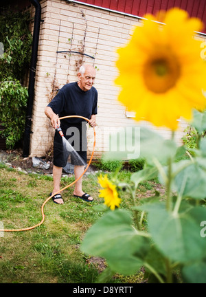 A man watering his lawn. Stock Photo