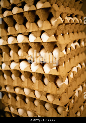 Egg cartons. Stock Photo