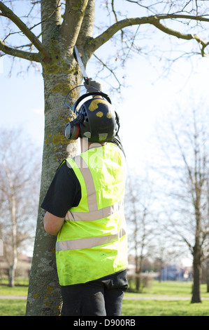 A forestry worker trims a tree in the forest Stock Photo - Alamy