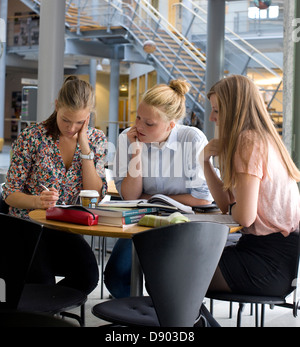 University students studying in cafe Stock Photo