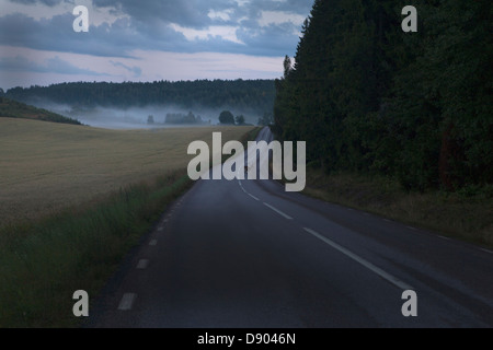 Deer crossing road Stock Photo