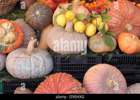 Pumpkins for sale in a greengrocery Stock Photo