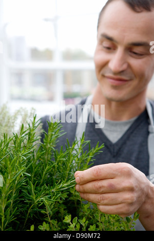 Portrait of a smiling middle aged man. Stock Photo