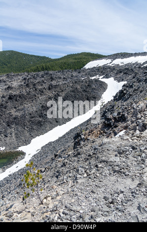 Lava beds at Newberry National Volcanic Monument.  Eastern Oregon, USA Stock Photo