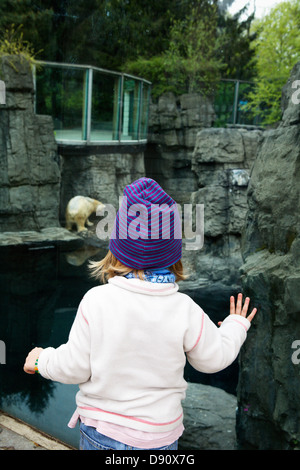 Girl looking at polar bear in zoo Stock Photo