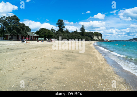 dh Beach AUCKLAND MISSION BAY NEW ZEALAND NZ Sea gull and sand beach shoreline beaches Stock Photo