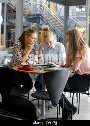 University students studying in cafe Stock Photo