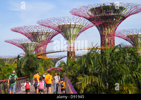 Singapore Gardens by the Bay,park,Supertrees,elevated walkway,Sing130202172 Stock Photo