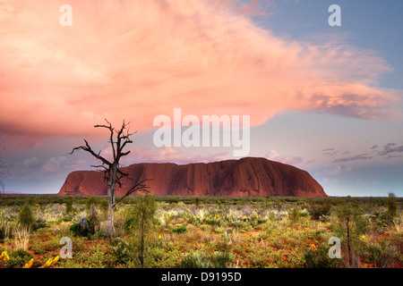 Ayres rock at sunrise Stock Photo