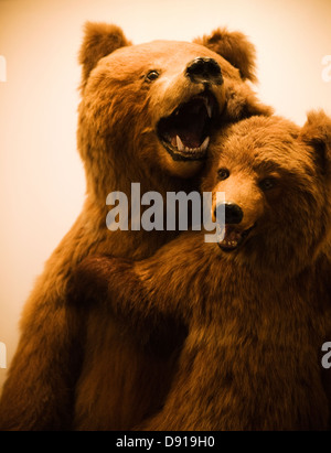 Stuffed bears. Stock Photo